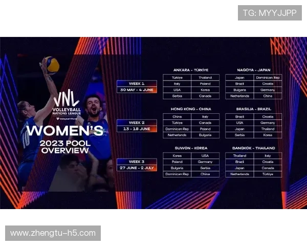 北京开奖网站官方最新公告与信息发布平台